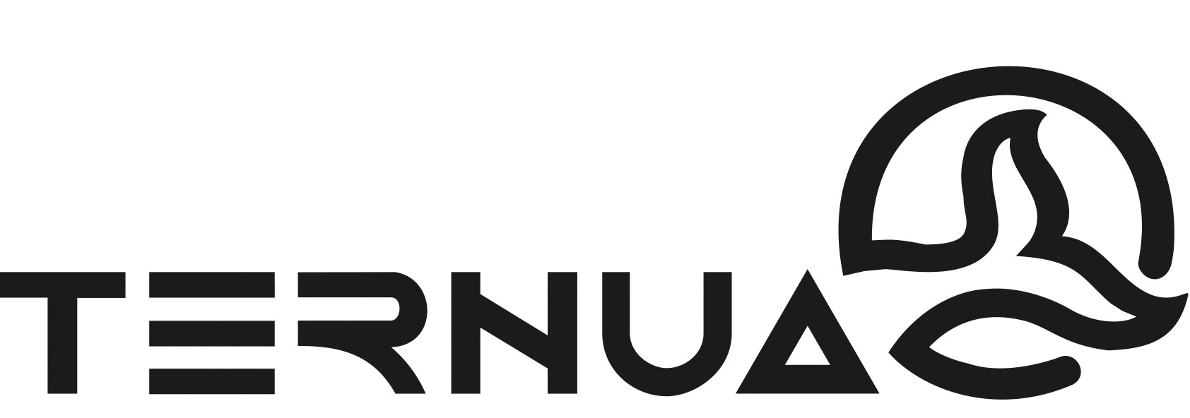IMPORT ARRASATE / TERNUA - CMD Sport