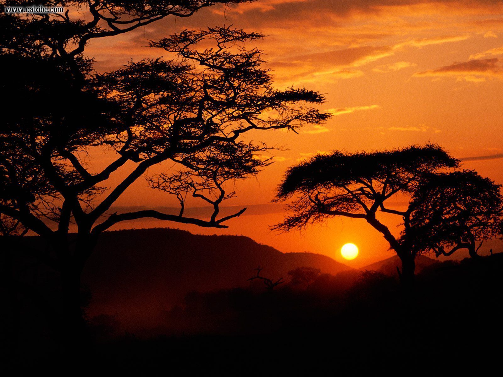 Serengeti_National_Park_Sunset_Tanzania • SELVD