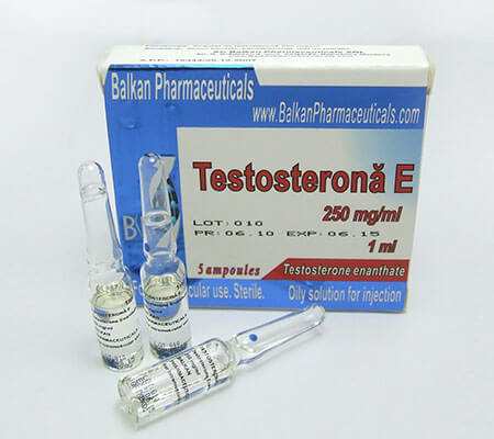 Testosterone enanthate kaufen