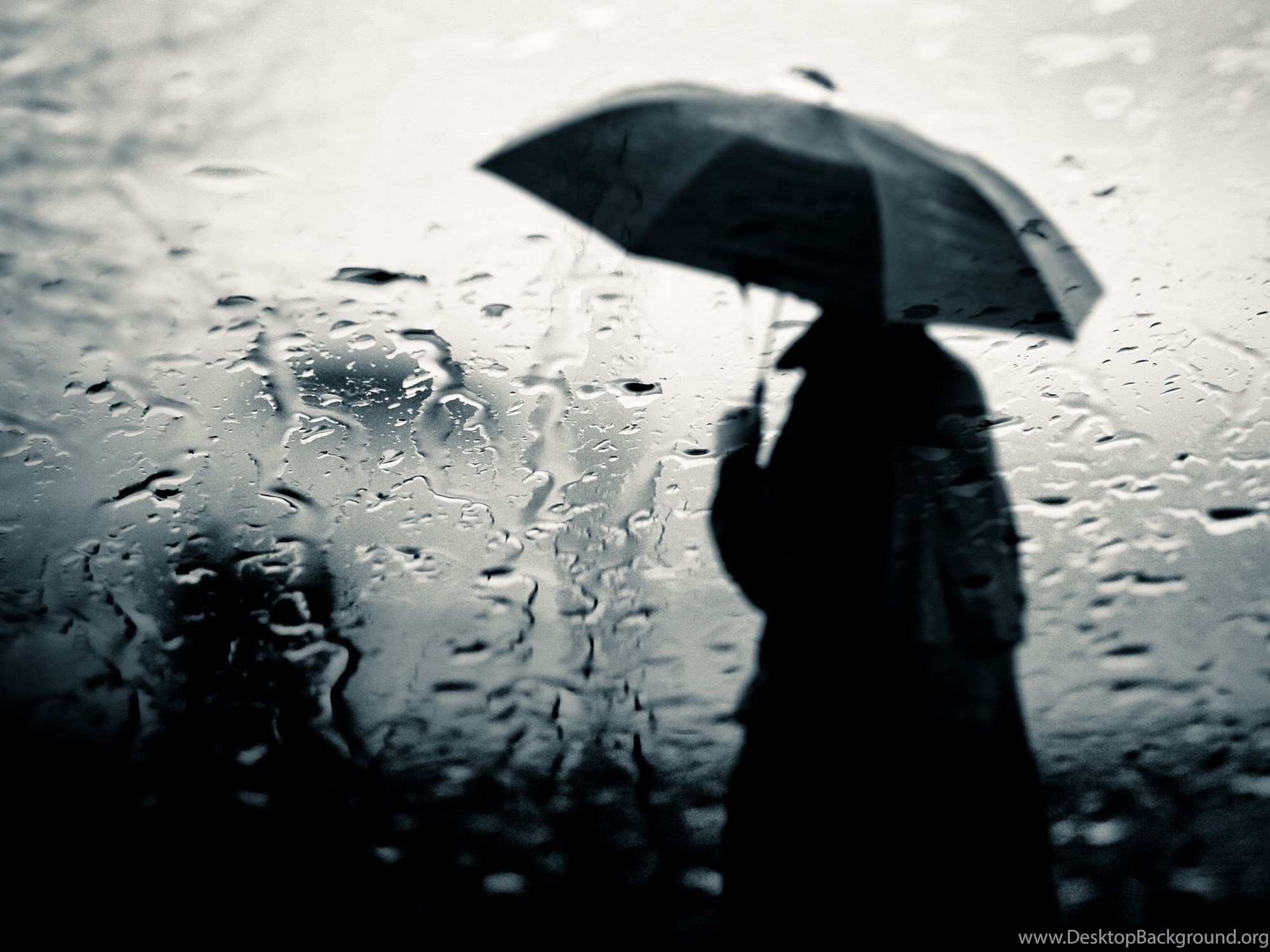 một mình trong cơn mưa