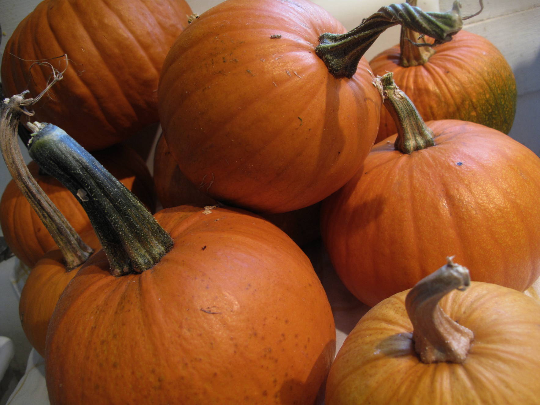 How to turn a Pumpkin into a Homemade Pumpkin Pie - Our Twenty Minute ...