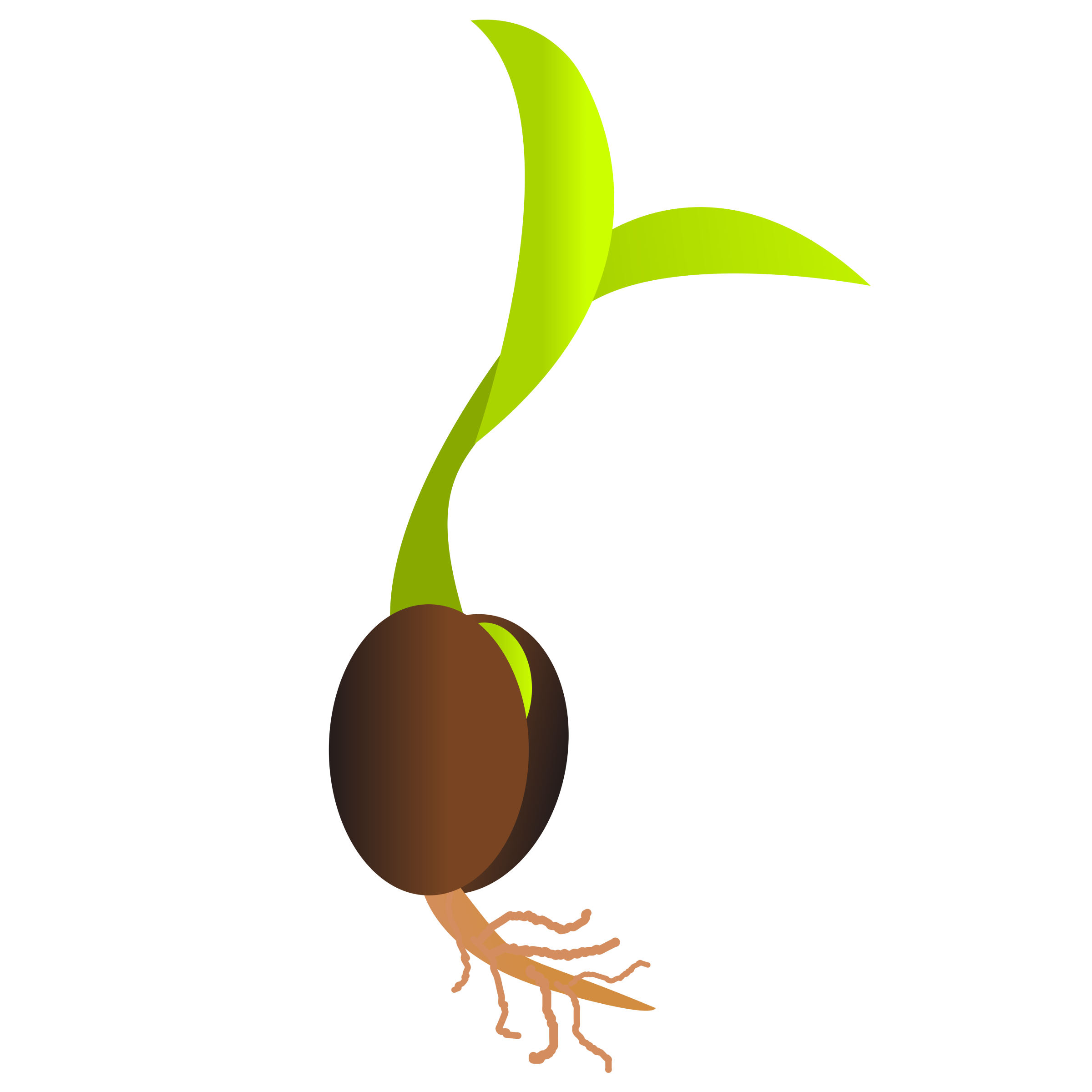 Seed PNG Transparent Images | PNG All