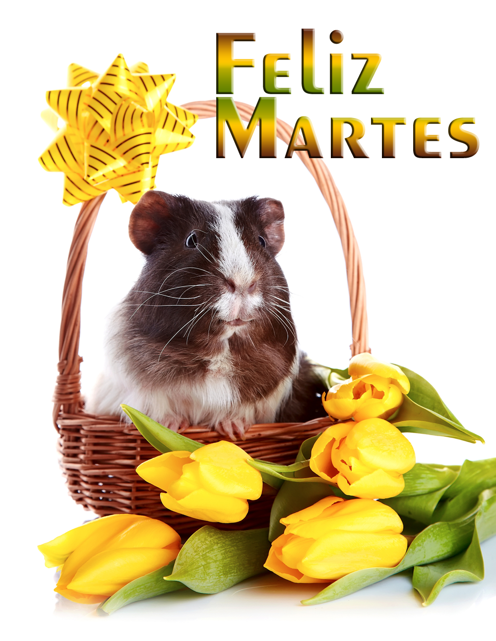 BANCO DE IMÁGENES GRATIS: Postal con mensaje de "Feliz Martes" para ...