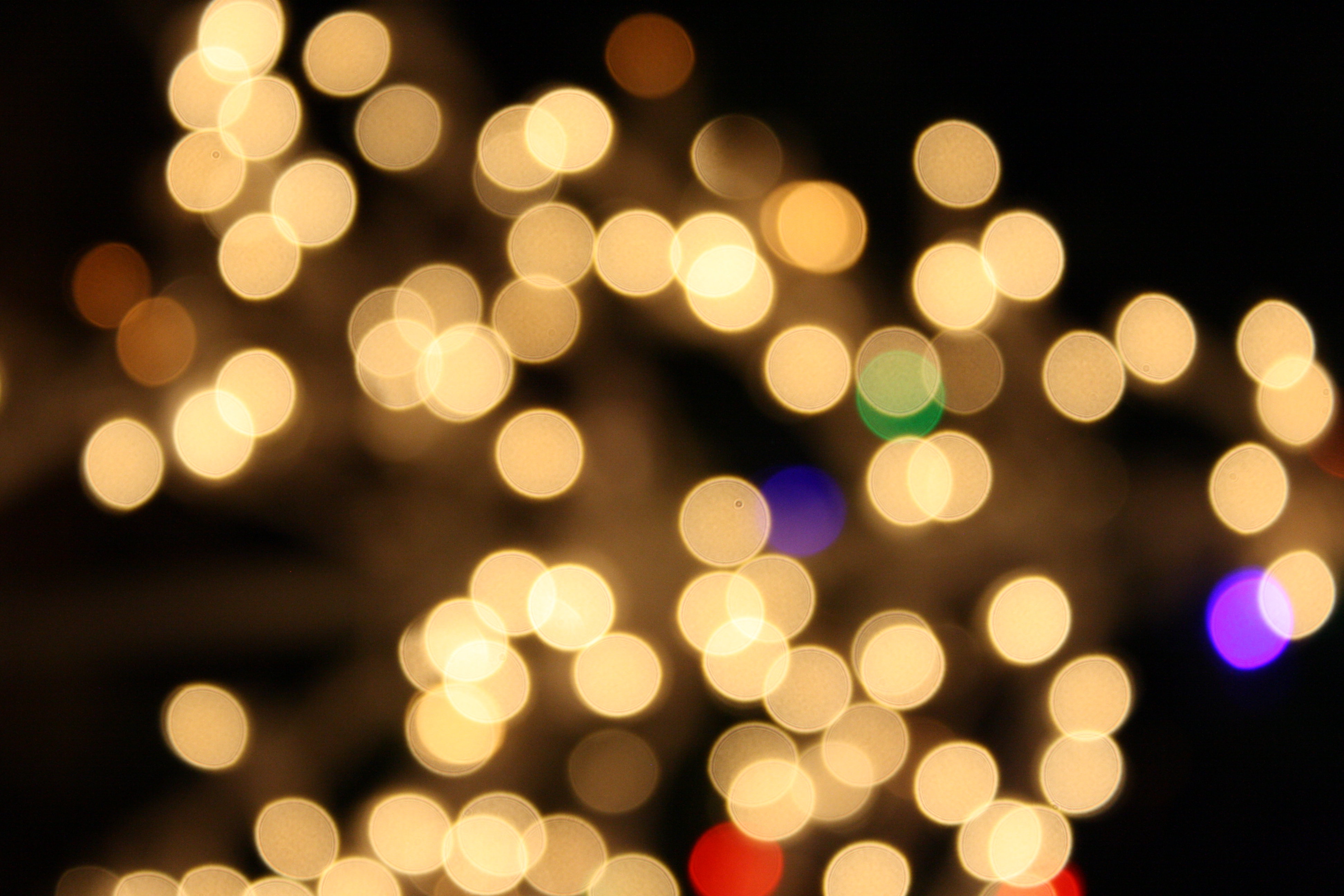 Blurred Christmas Lights White Picture | Free Photograph | Photos ...