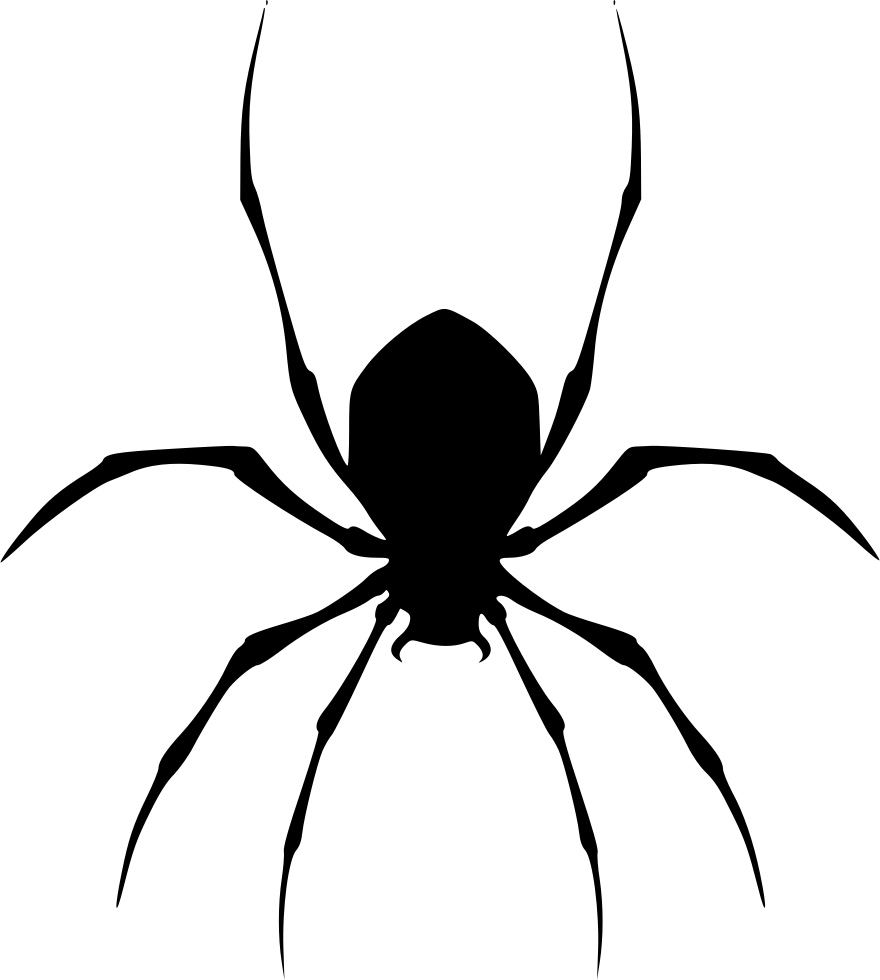 draw a spider easy