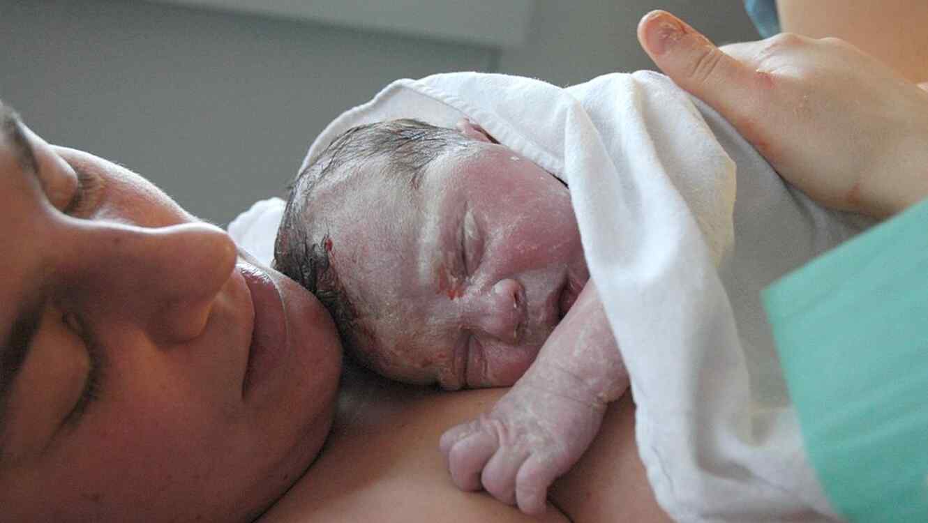 Fotgrafa captura impresionantes imgenes de bebs recin nacidos y sus 