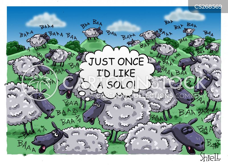 Sheep Shearing Cartoons and Comics - funny pictures from CartoonStock