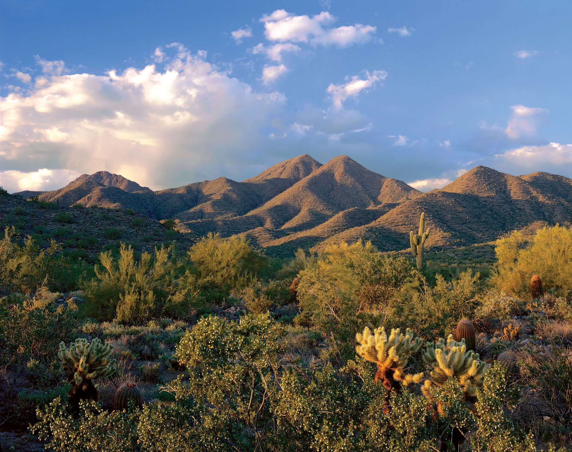 How to Spend a Week in Arizona, Part II: Scottsdale | HuffPost