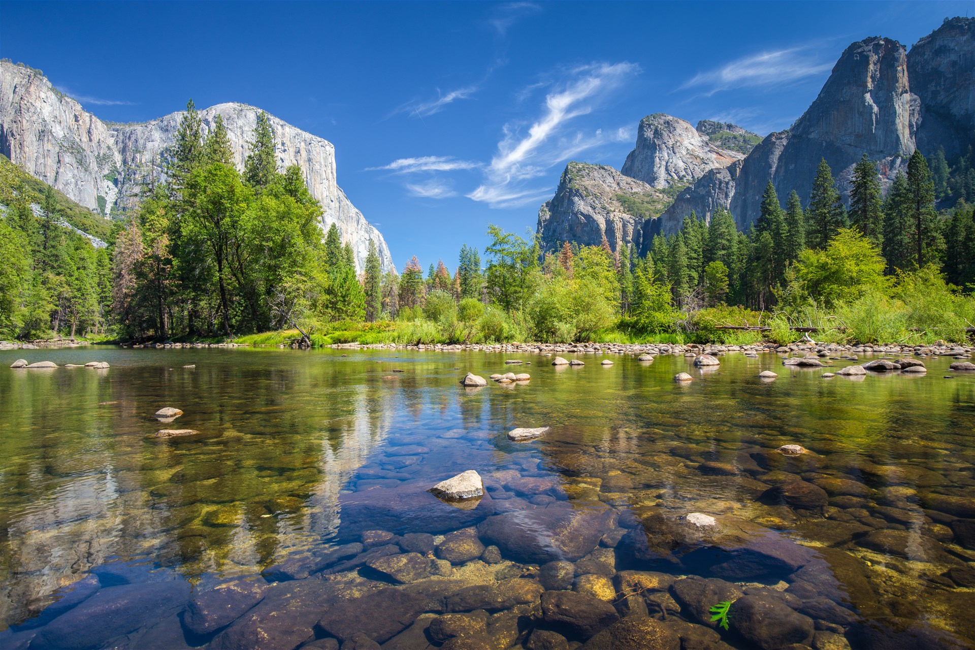 Perkemahan Yosemite National Park