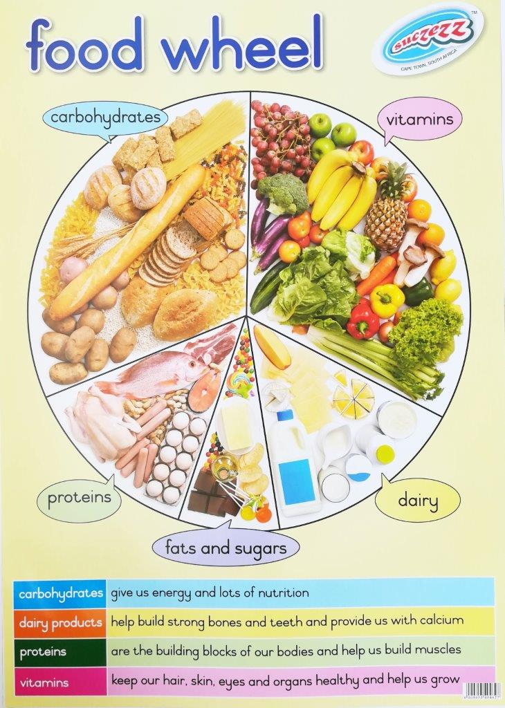 "Food Wheel" laminated poster 680mm x 480mm - Educational Toys Online