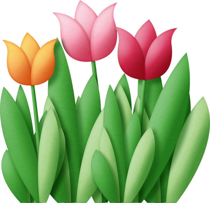 Free Clip Art Flowers Tulips / Tulips Bouquet Of Flowers Spring ...
