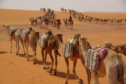 The Camel Caravans Of Rthe Ancient - The metropolitan museum of art is ...