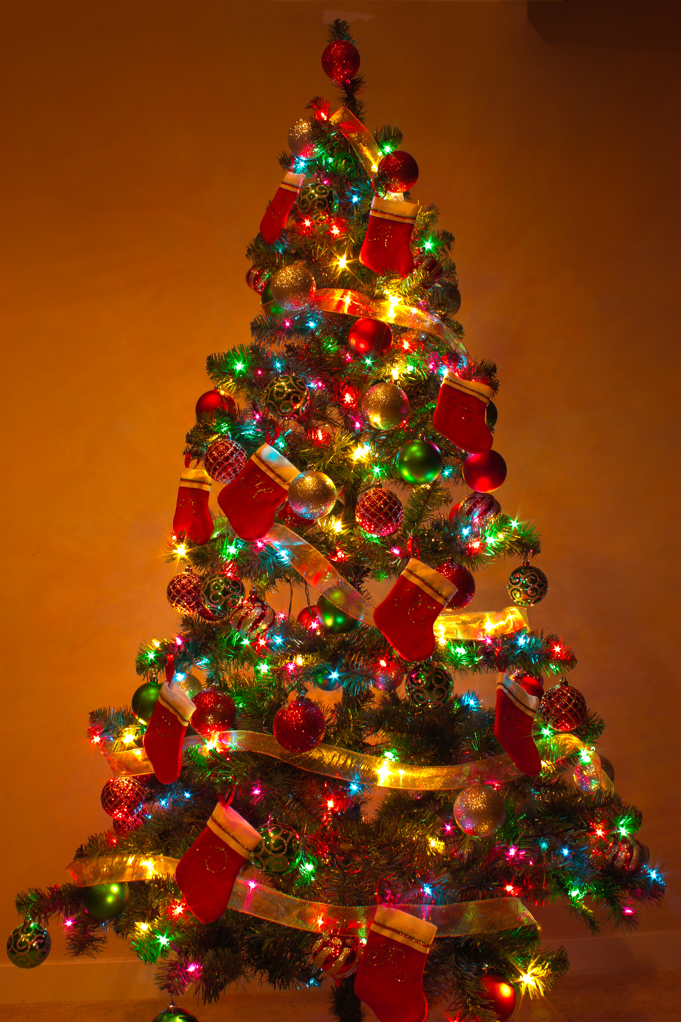 File:Y Christmas Tree 2.jpg