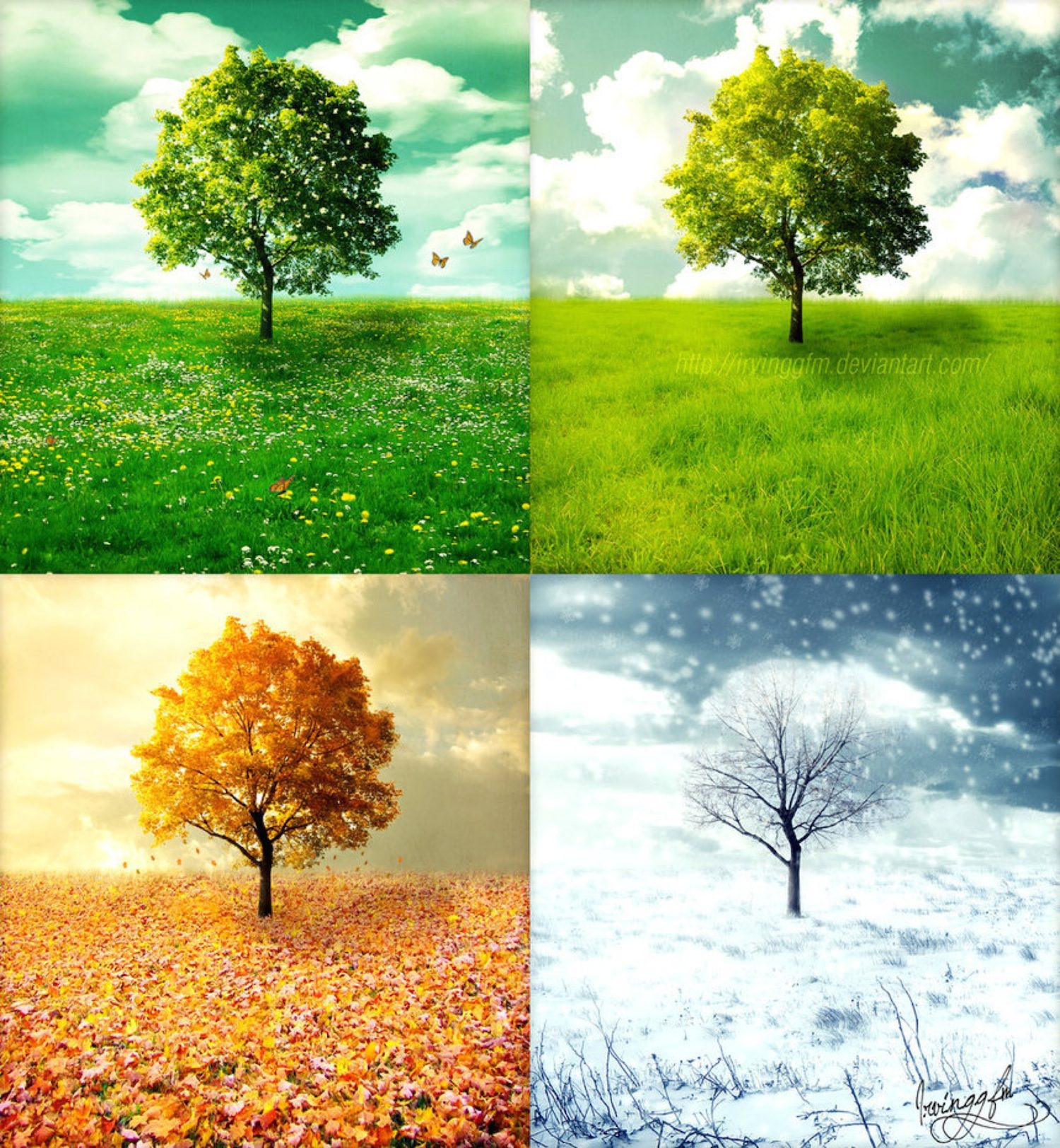 the four seasons – FringeArts