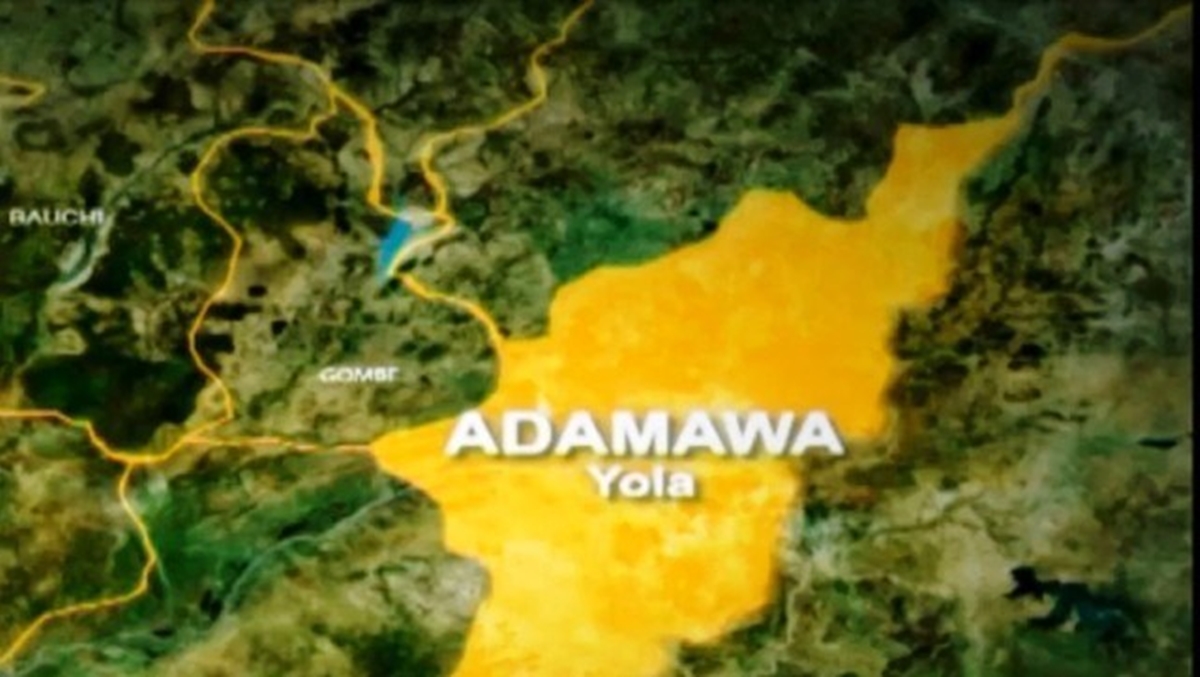 Police ban vigilante groups in Adamawa from election duties