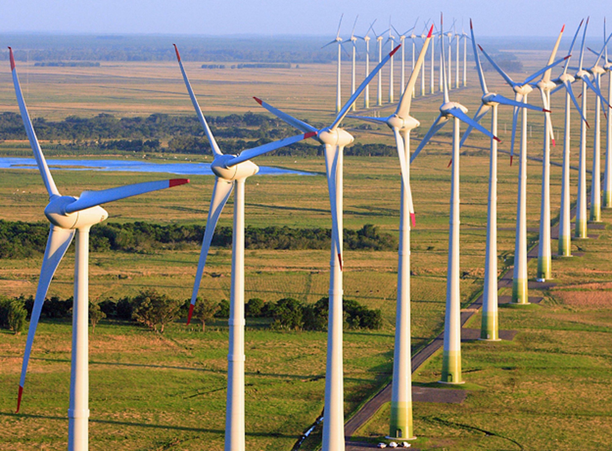 Energia eólica é a mais promissora para o Brasil - Ecoa