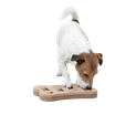 Pet Training & Behavior logo