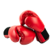 Boxing, Wrestling & Martial Arts logo
