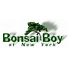 Bonsai Boy  Logo
