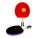 Paddles & Racquets logo