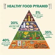 Is the Food Pyramid Still Relevant? - Next Level Urgent Care