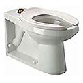Zurn Toilet Bowl, White (Z5645-BWL)