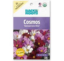 Back To The Roots Organic Cosmos Flower 'Sensation Mix' Seeds, 1 Packet