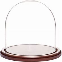 Latitude Run® Jenett Display Dome Cloche Glass | 8 H X 8 W X 8 D In | Wayfair 73566110Ab0e06bba7b073ca803d1363