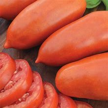 San Marzano Tomato - Determinate - Packet Of Approx. 25 Seeds