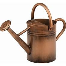 Sunnytong Metal Watering Can For Outdoor And Indoor Plants, Watering Can Decor, 1 Gallon (1 Gallon Copper)