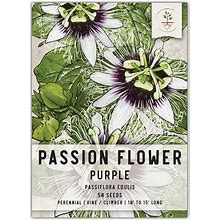 Seed Needs, Purple Passion Flower Seeds - 30 Heirloom Seeds For Planting Passiflora Edulis - Annual Heirloom & Open Pollinated Vine/Climber Produces