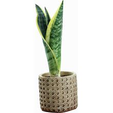 ORFOFE Fence Bucket Succulent Planter Ceramic Planters For Indoor Plants Home Decor Astetic Room Decor Flower Pots For Indoor Plants Plant Decorations Cactus Pots Flower Stand Flowerpot