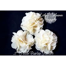 Ivory Petite Burlap Flowers - Burlap Flower - 2 Inches - Fabric Flower - Burlap Rose - Rolled Flowers - Wholesale - Supply