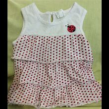 Swiggles Dresses | Baby Girls Dress | Color: Red/White | Size: 24Mb