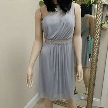 Adrianna Papell Silver One Shoulder Lined Sheer Dress Sz 10