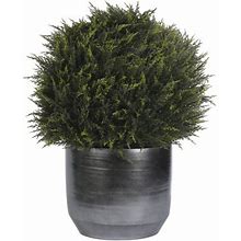 Natural Decorations Inc. UV RATED | Cypress Ball Topiary, Ceramic Pot, 21Wx21dx25h - Faux Plants & Trees In Black/Gray | P110103756 | Perigold