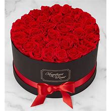 Magnificent Roses Preserved Red Roses Magnificent Roses® Luxury Red | 1-800-Flowers Flowers Delivery