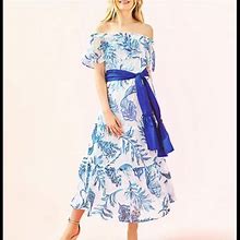Lilly Pulitzer Dresses | Lili Pulitzer Sona Blue White Floral Dress Ruffled | Color: Blue/White | Size: Various
