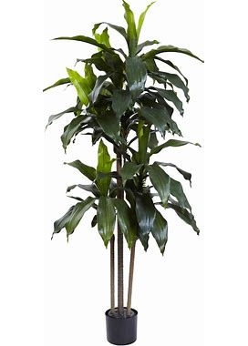 5-Foot Dracaena Plant UV Resistant (Indoor/Outdoor) - Decor