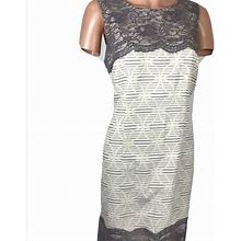 Loft Dresses | Loft Sheath Dress With Lace Overlay Detail | Color: Cream/Gray | Size: 6