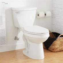 Signature Hardware 462381 Bradenton 1.28 GPF Two Piece Elongated Toilet With 14" Rough-In - White