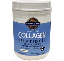 Garden Of Life Grass Fed Unflavored Collagen Peptides Dietary Supplement - 19.75 Oz