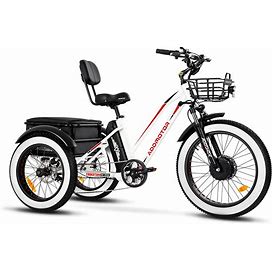 Addmotor Motan Electric Trike, 85MI, 450Lbs, 3 Wheel Electric Bicycle With 750W Motor 48V 20Ah Battery UL Certified, Pearl White