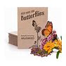 Bentley Seeds Co. Seed Packets For Planting - Party Favors For Indoors And Outdoors Gardening - Non GMO, Non-Coated - Bulk Pack Of 25 Milkweed