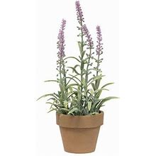 Potted Flowering Sage Purple - 10.5"H X 3"W