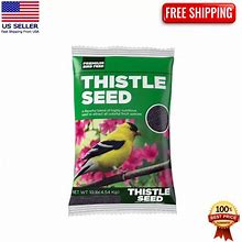 Premium Sterilized Nyjer/Thistle Seeds -Fresh And Sealed New 10 Lb Bag
