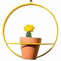 Newmade LA Circle Wall Planter Yellow, West Elm