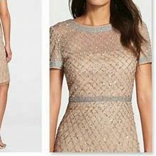 Adrianna Papell Beaded Woven Sheath Dress Champagne Size 4 D104