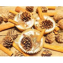 Natural Fire Starters/Cinnamon Woods/Campfire Starters/Cinnamon Sticks,Wood,Pinecones/Large & Small Sizes Available!You Choose Quanity 1-12