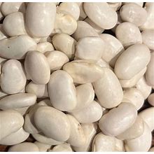 Ayocote Blanco Bean Heirloom Seed Packet